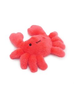 Jolly moggy under the sea crab