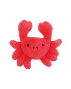 Jolly moggy under the sea crab
