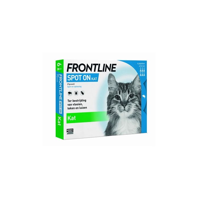 Frontline kat spot on
